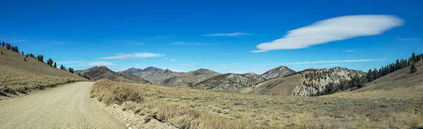 Ancient Bristlecone Pine Forest